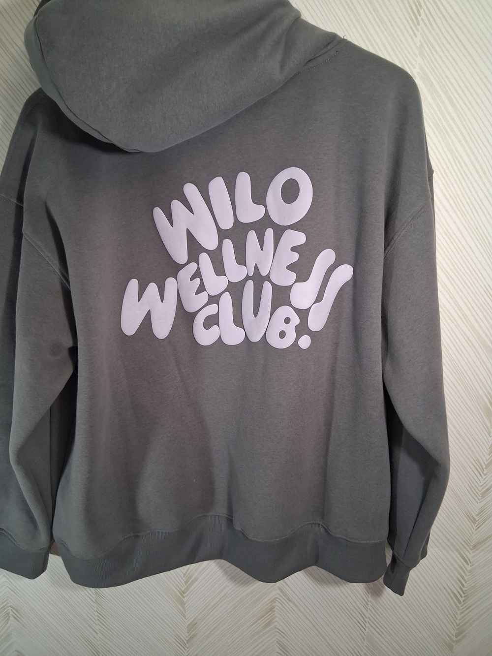 Wild Wellness Club Graphic Hoodie - Gray